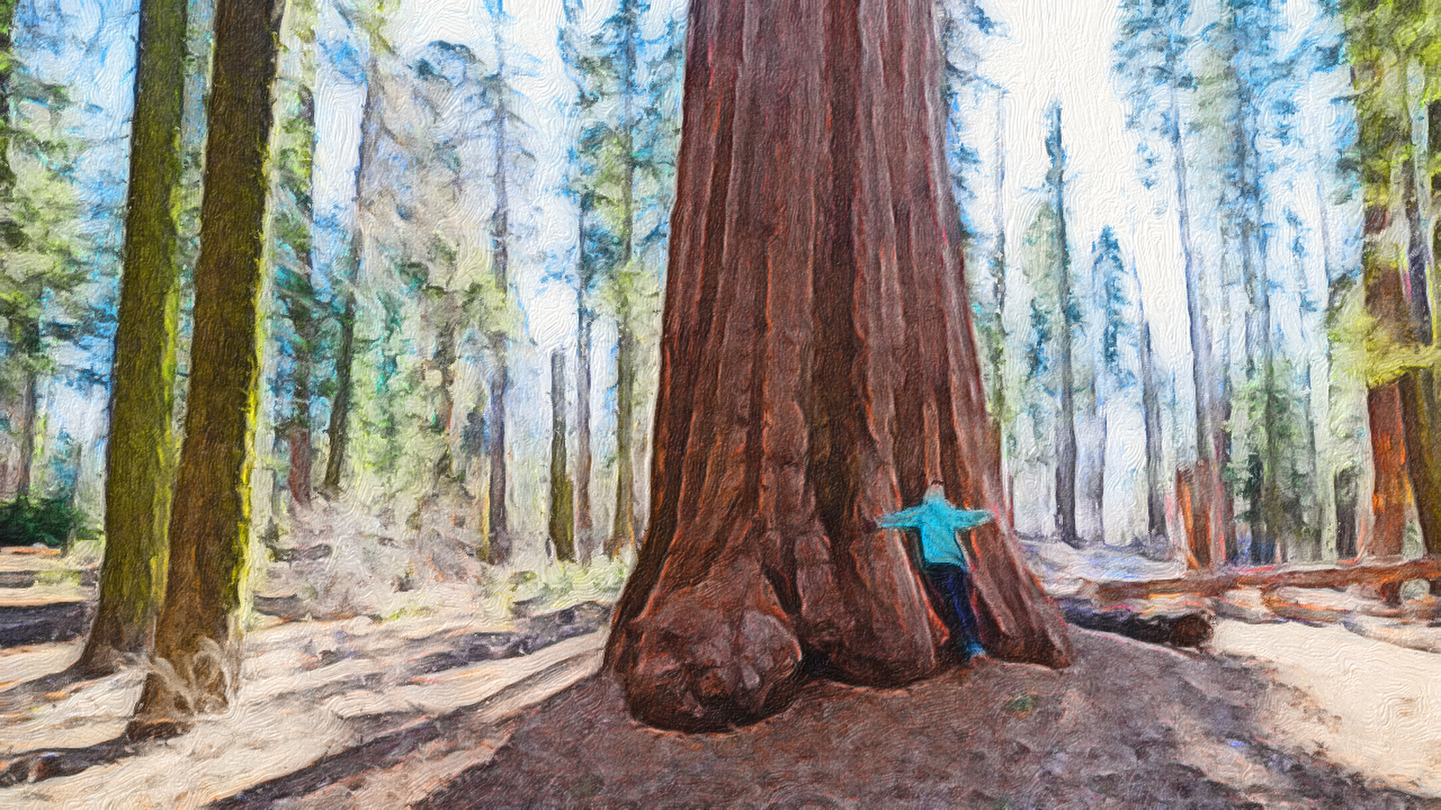 welcome to your sacred sunday pause