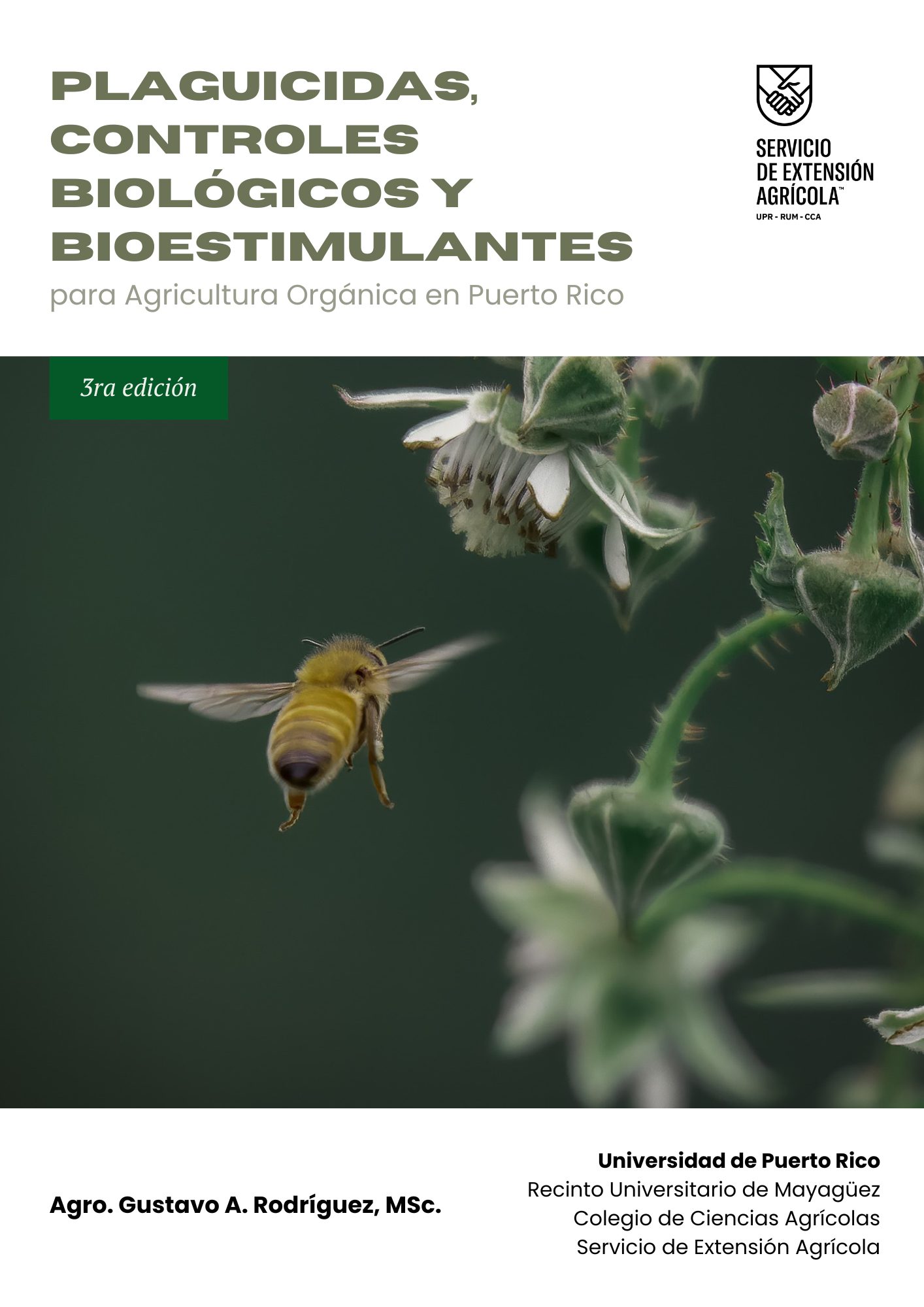May be an image of text that says 'PLAGUICIDAS, CONTROLES BIOLÓGICOS BIOESTIMULANTES para Agricultura Orgánica en Puerto Rico SERVICIO DE EXTENSIÓN AGRICOLA UP북 P-nЛ4-CCA u CA 3ra edición Agro. Gustavo A. Rodríguez, MSC. Universidad de Puerto Rico Recinto Universitario de Mayagüez Colegio de Ciencias Agrícolas Servicio de Extensión Agricola'