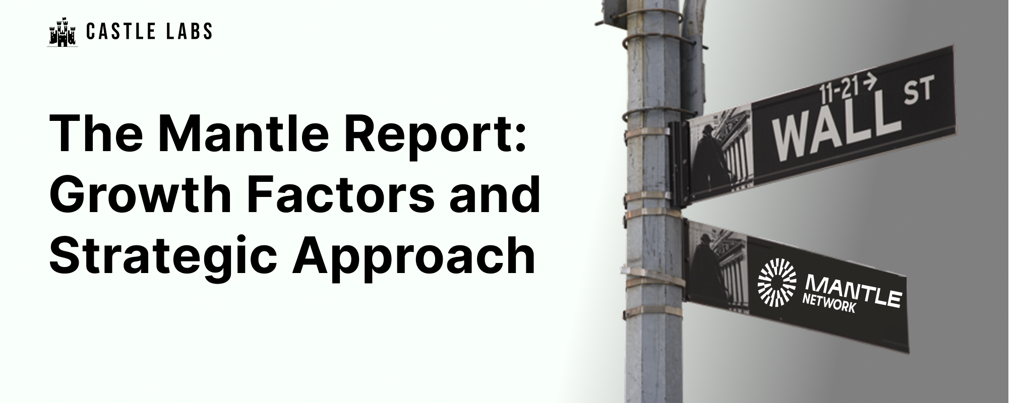 The Mantle Report: Growth Factors and Strategic Approach