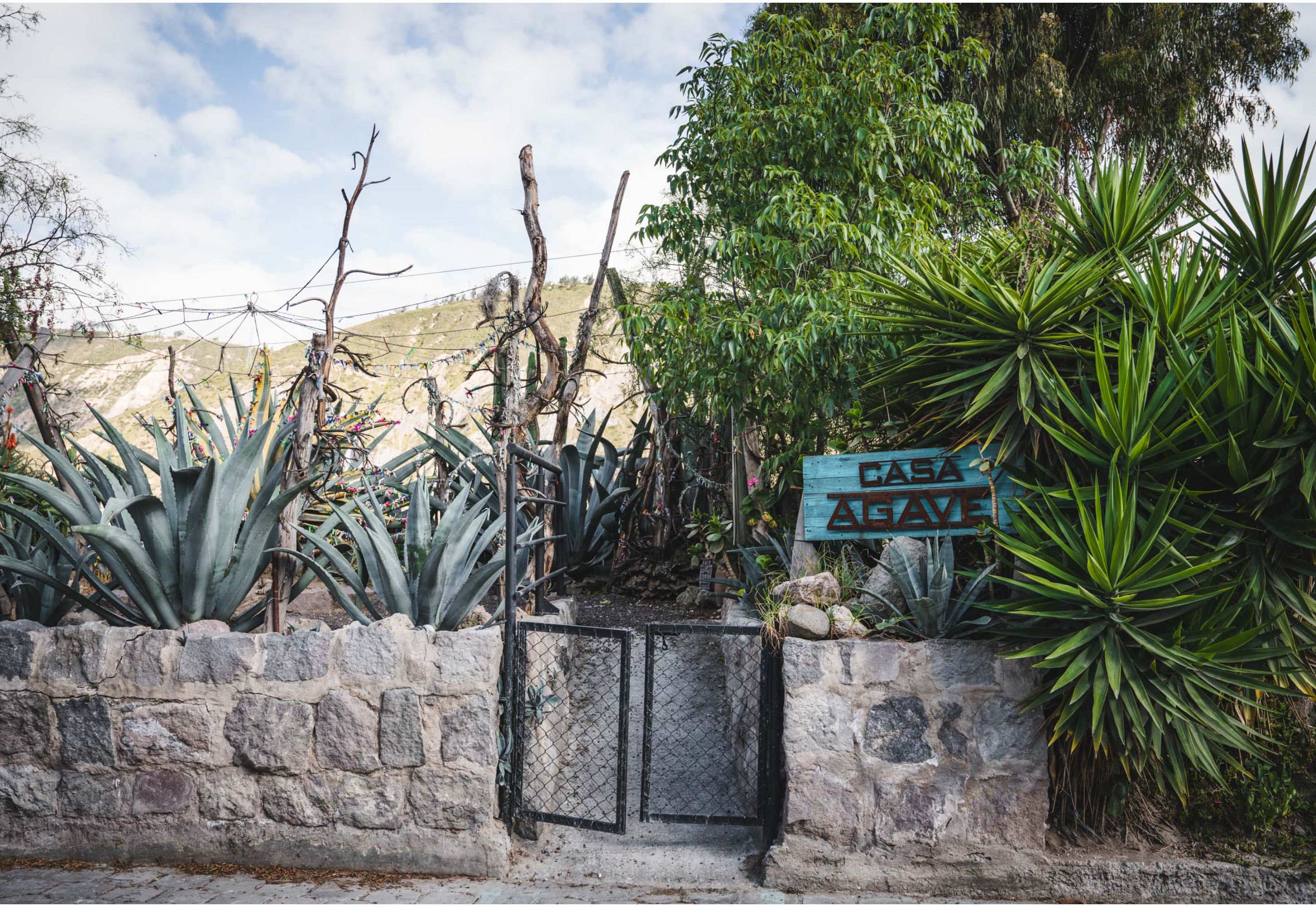 Miske: Tequila's Ecuadorian Ancient Cousin, Brewed in the Middle of The  World