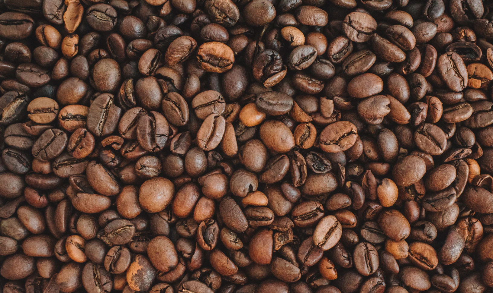 Close up of coffee beans.