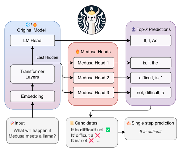 A Survey of Speculative Decoding Techniques in LLM Inference