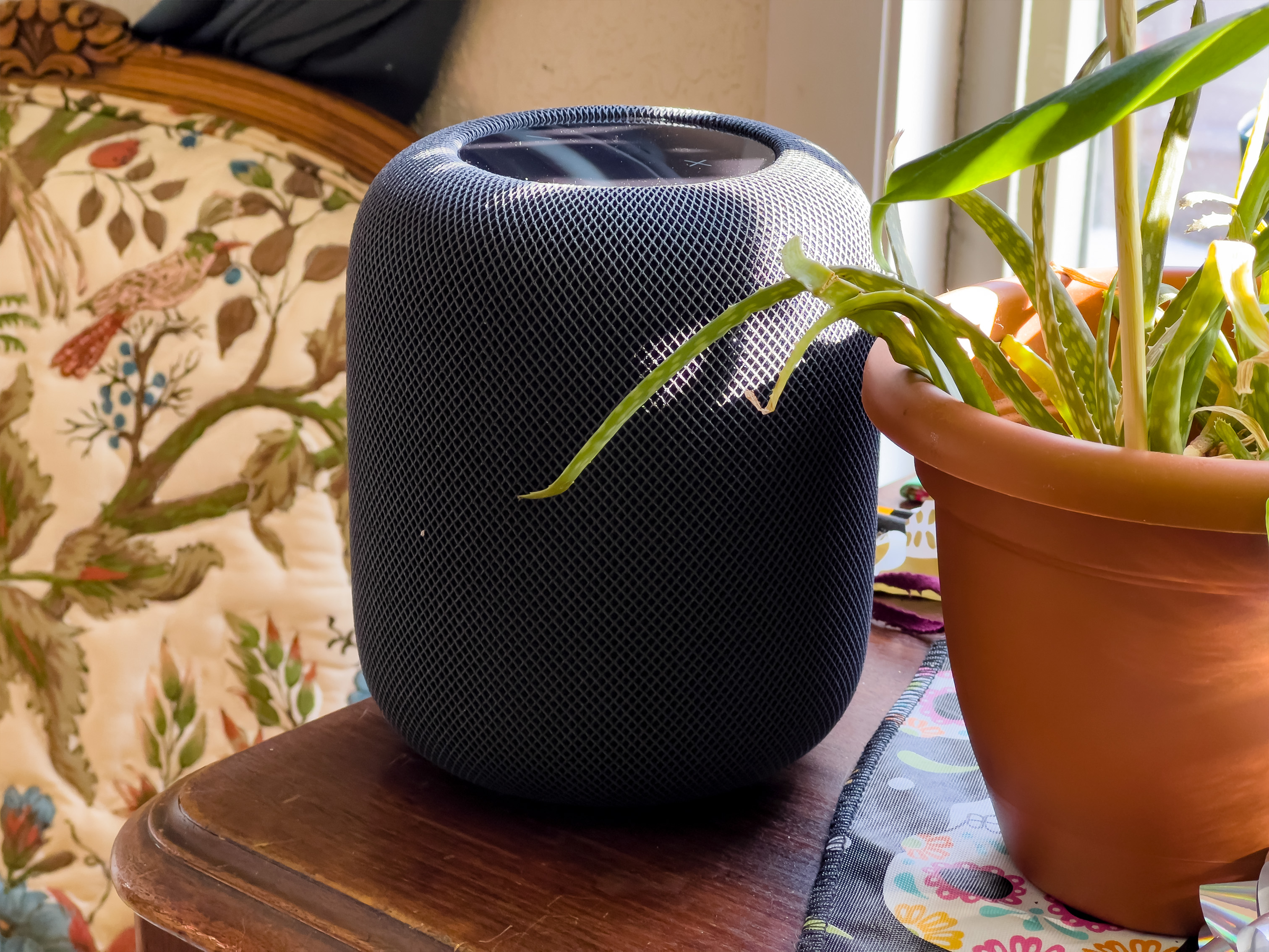Best smart speakers 2023: Alexa, Google Assistant and Siri choices