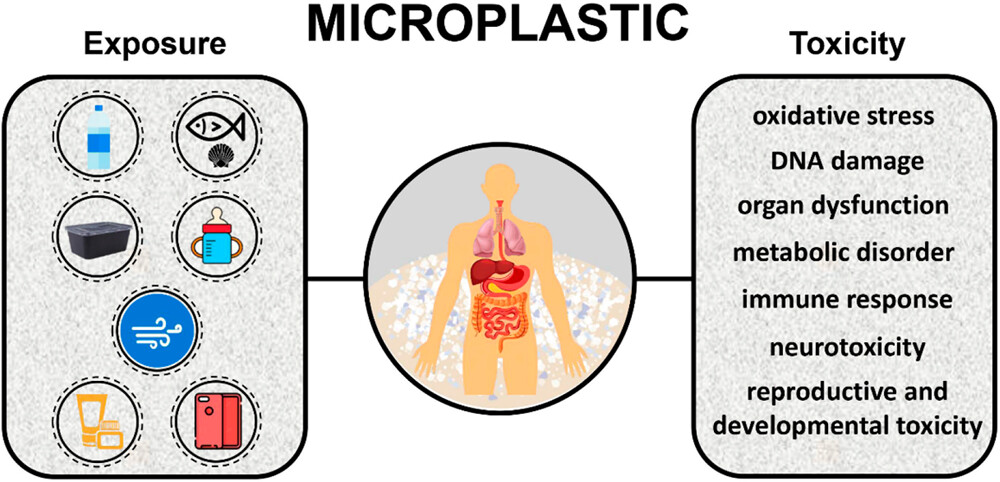 Health Impact of Microplastics: A Review of Environmental Distribution, Human Exposure, Toxic Effects And Relationship To Chronic Diseases 