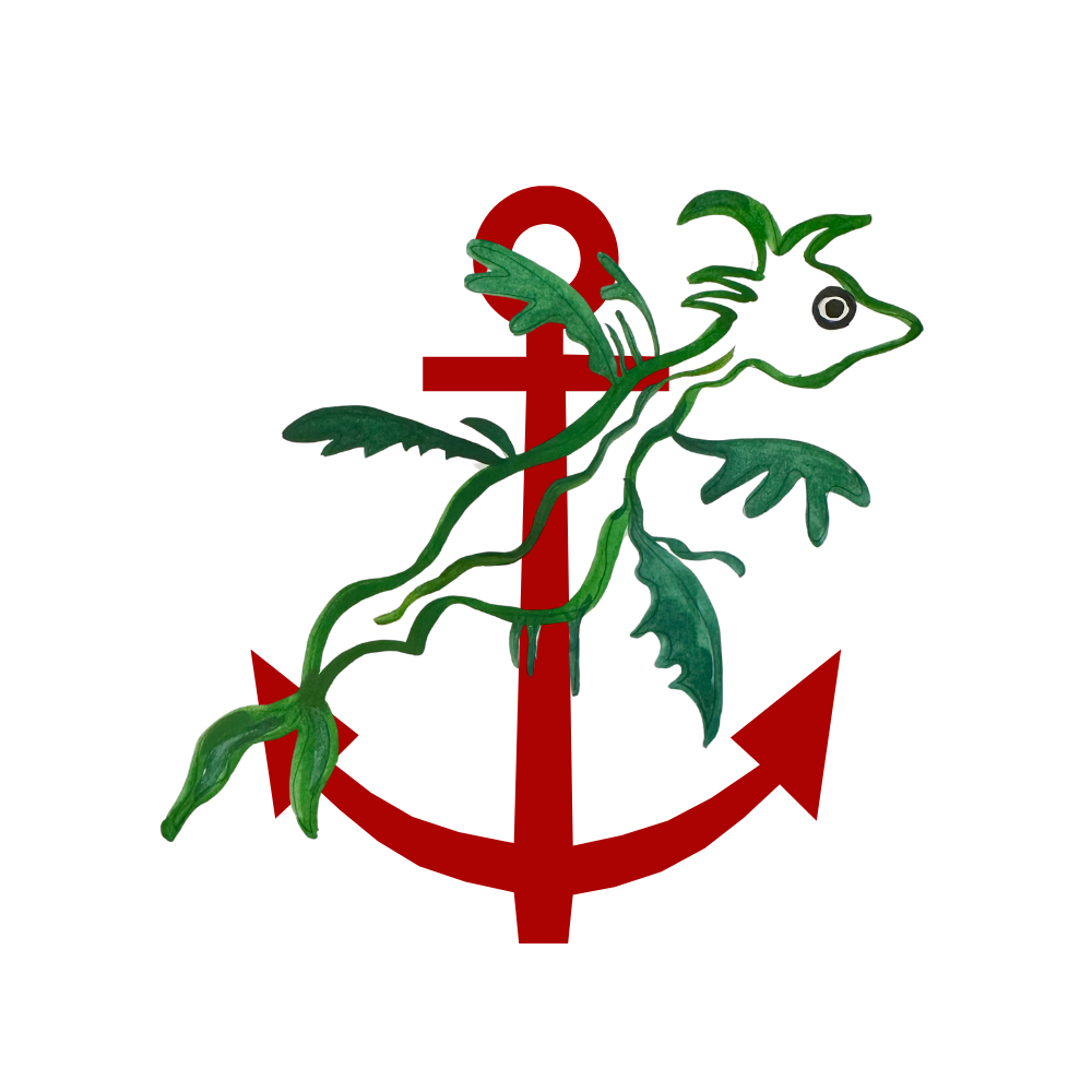 Substack profile picture for @anchors