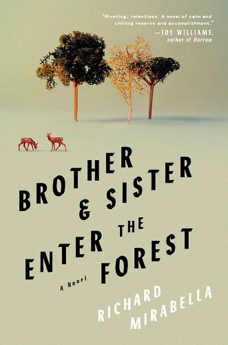 Cover of Brother & Sister Enter the Forest: a novel by Richard Miarabella