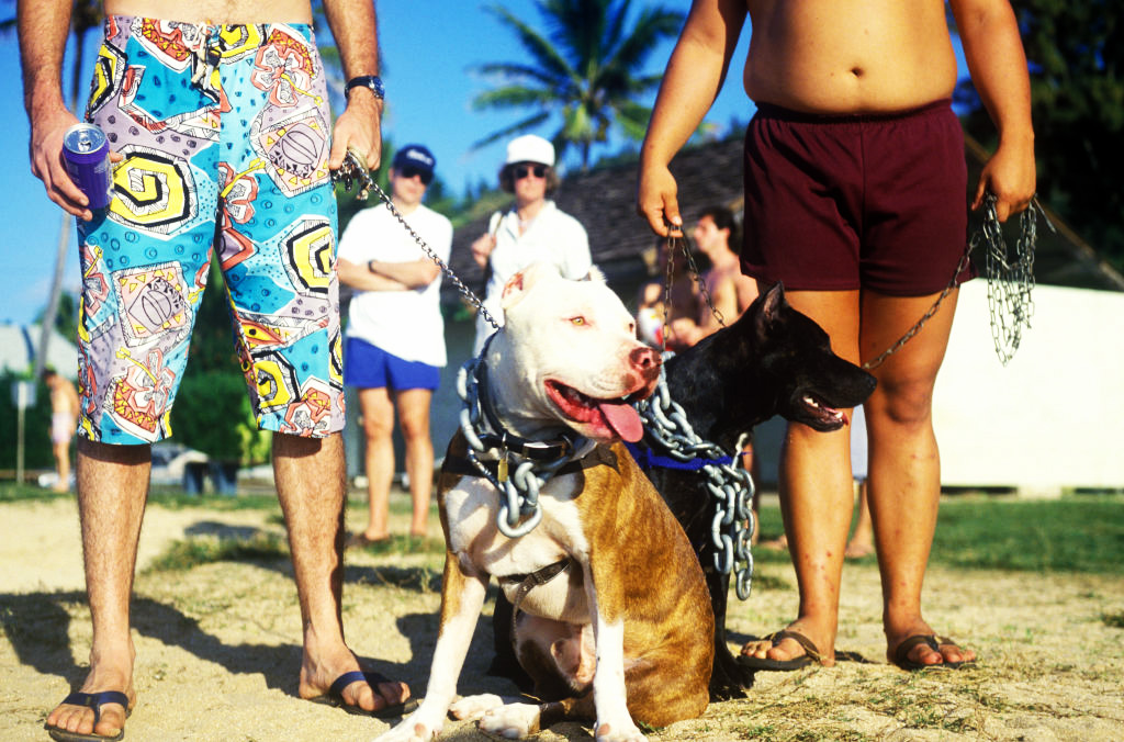 ‘It’s Just Dog Racism’