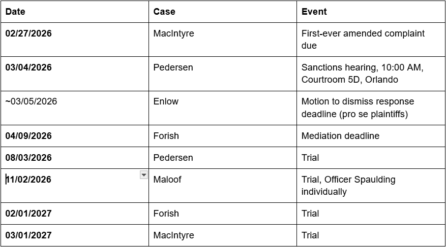 Image for article: Palm Bay’s Legal Exposure Grows: Four New Lawsuits Filed Since October