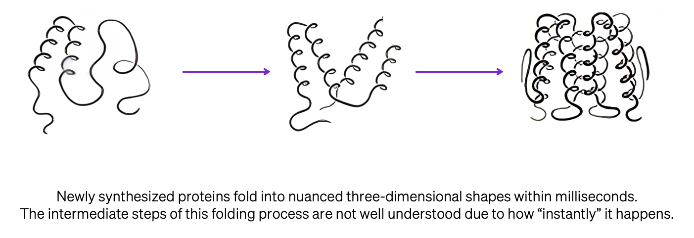 Deep Dive: A Primer on Drug Development