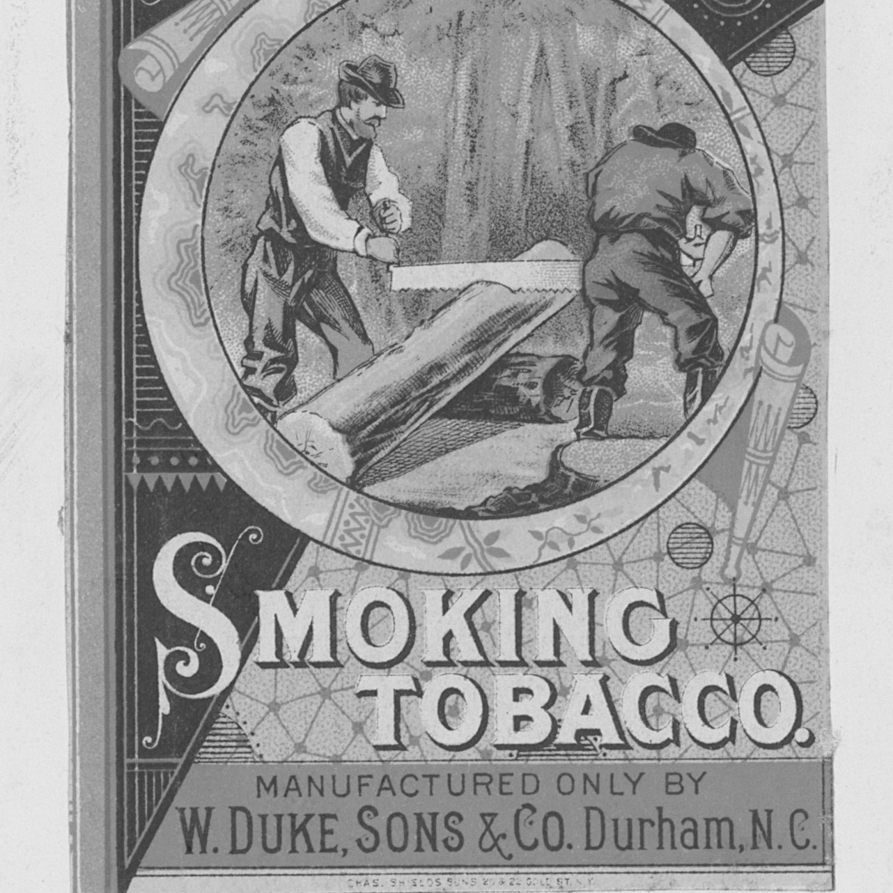 can you grow a tobacco plant How To Grow Tobacco from Seed