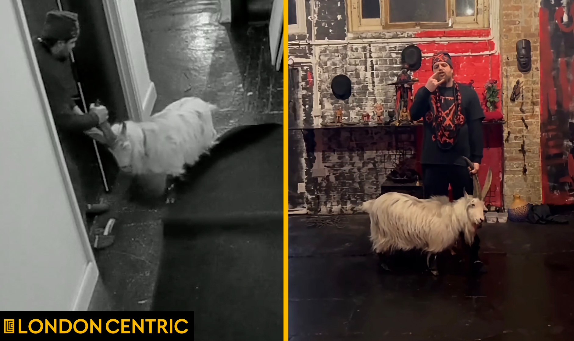 Are goats being sacrificed in this Hackney office?