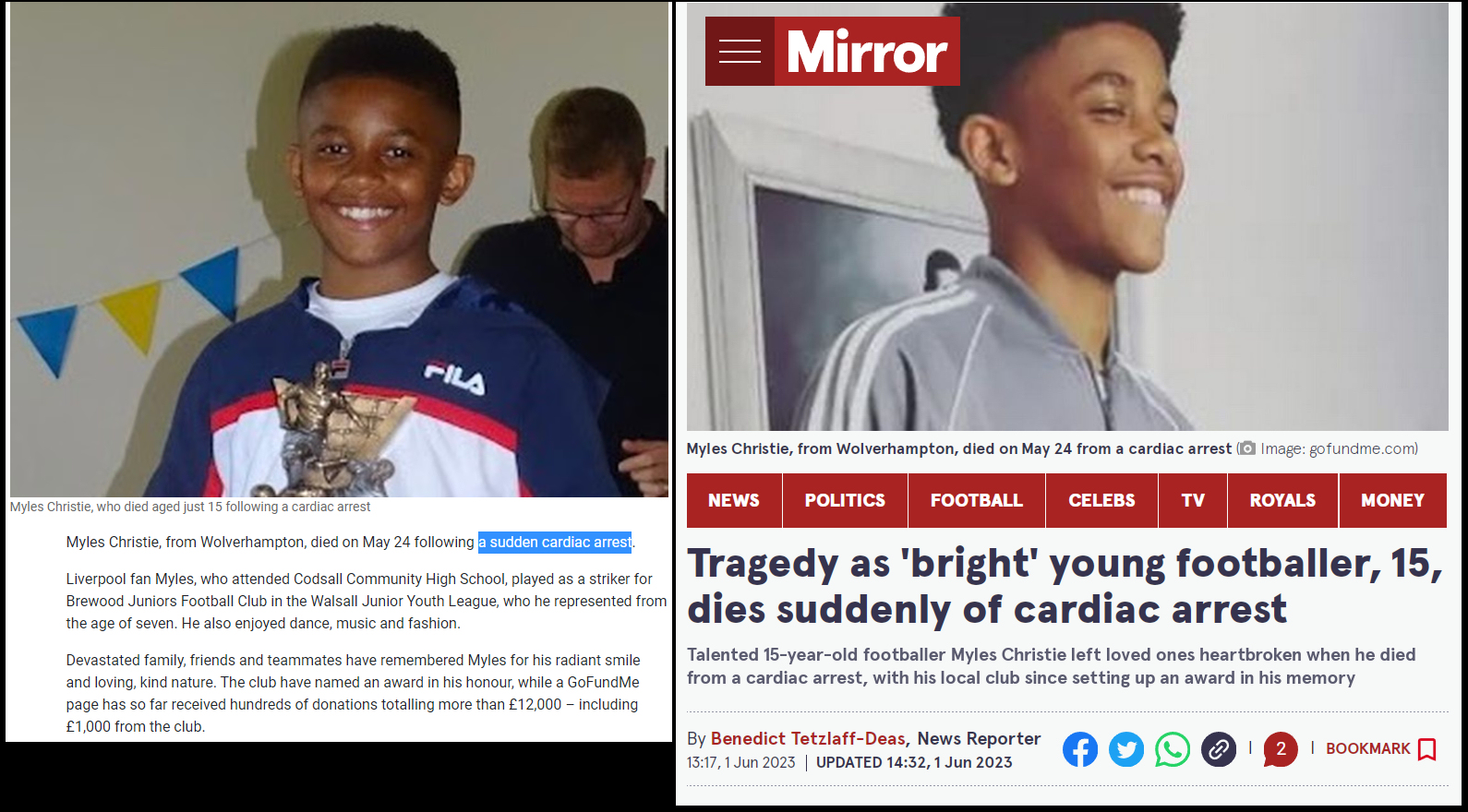 14 Professional Soccer Players Died Suddenly in the Past Six Months