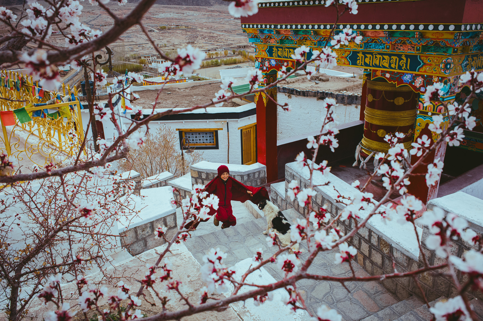 A Month Among the Mountains, People, and Culture of Ladakh