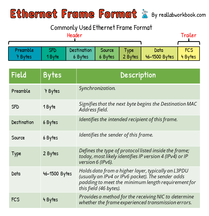 Ethernet Frame Format - by Rose White - Real Lab Workbook