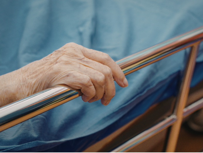 Vein cross section diagram