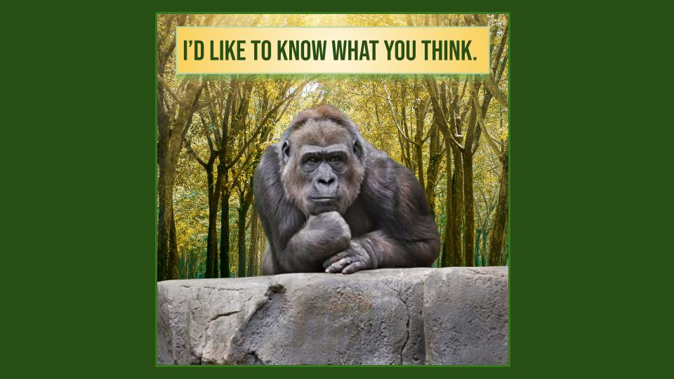 litmagnews.substack.com - Becky Tuch - Q: What is AI-voice and--honestly?--what's the harm?