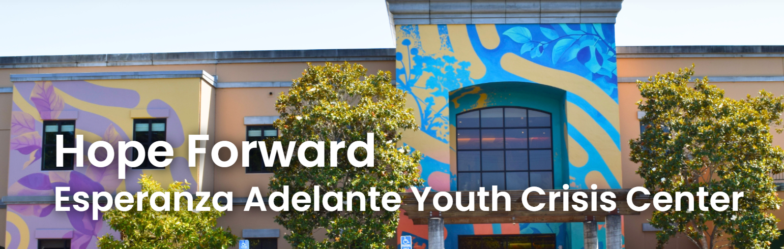 Santa Cruz County expands youth mental health care with new Crisis ...