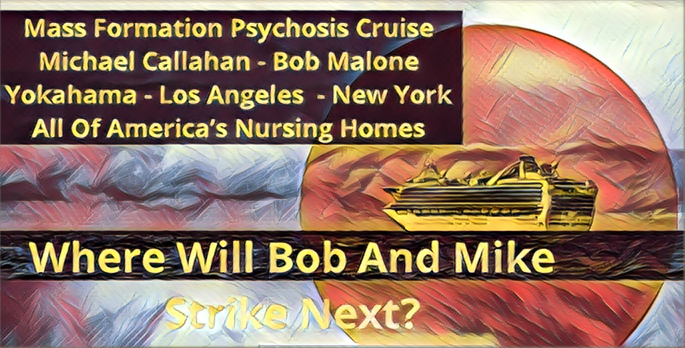 Malone Intel Disclosures Describe String Of Mass Formation Psychosis Ops