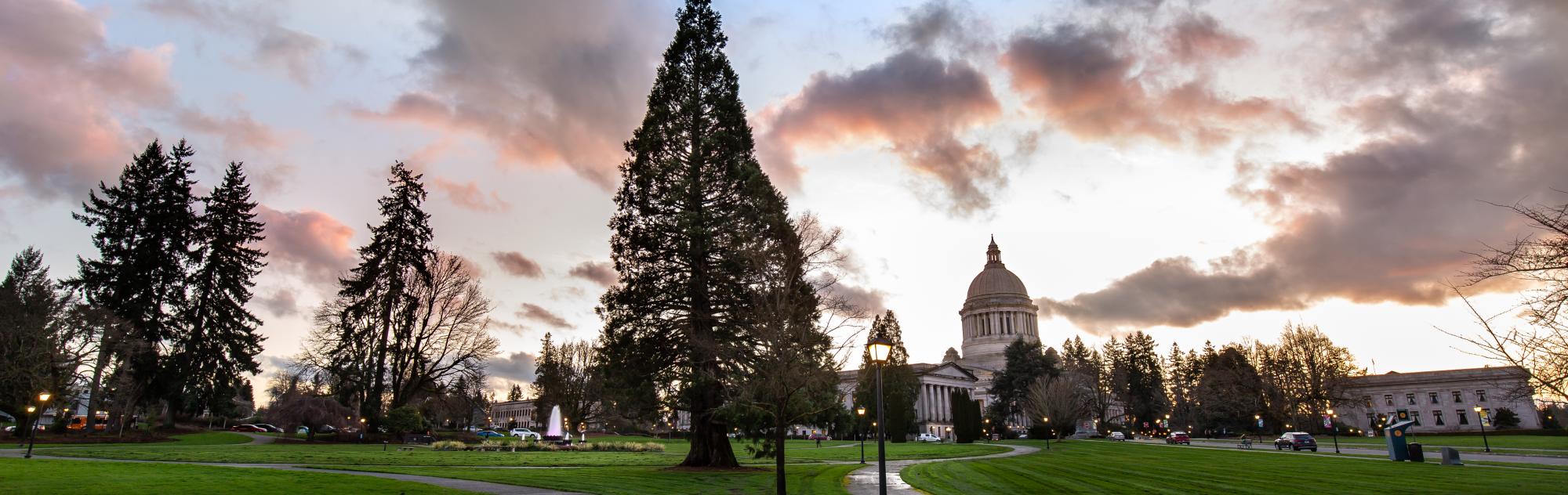 Washington Social Worker Charged with ‘Erratic’ Harassment Campaign, False Reporting, and Retaliation
