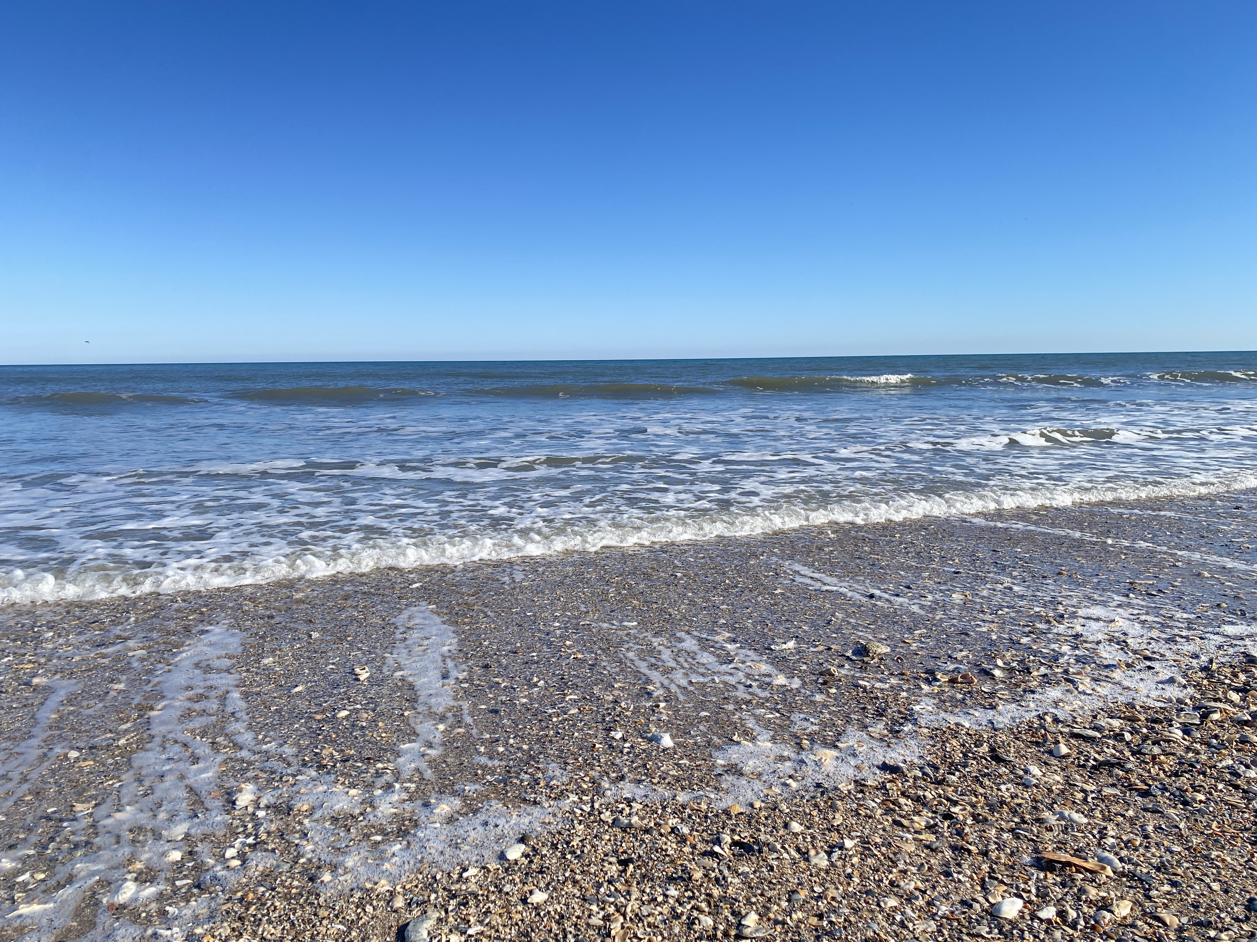 The Ringmakers (Part 2)