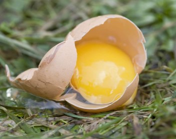 Hoax Alert: Egged in East London (2026)