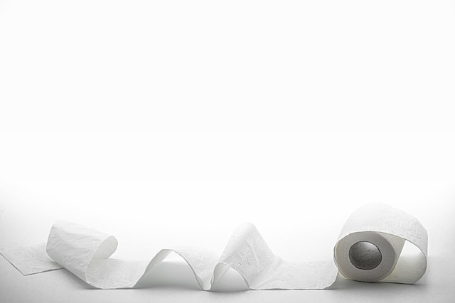 Je n'ai plus acheté de papier essuie-tout ou de mouchoirs jetables depuis des années