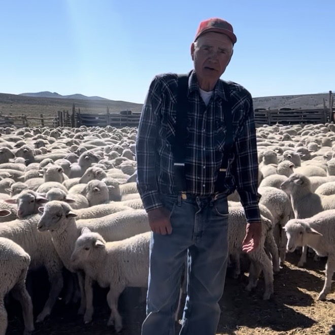 Nevda Ranch Lineups ALERT: Nevada rancher featured in 2025 UNWON lawfare report facing ...