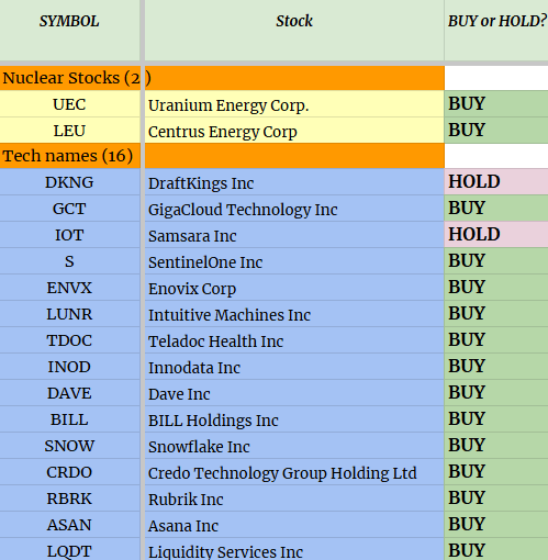 Portfolio January 2025 - Deep Value Returns