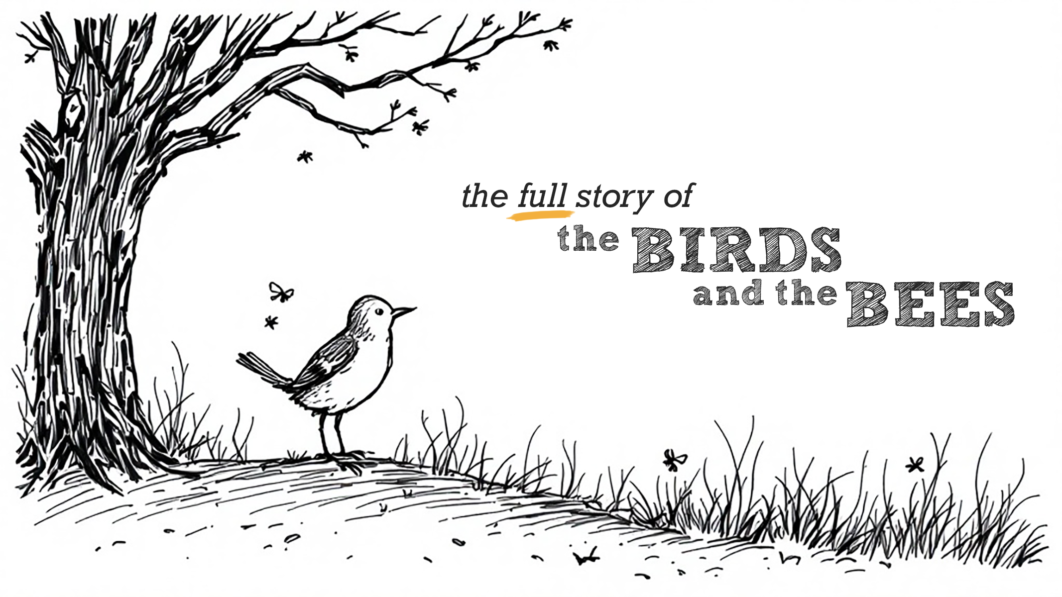 The Story Of The Birds And The Bees