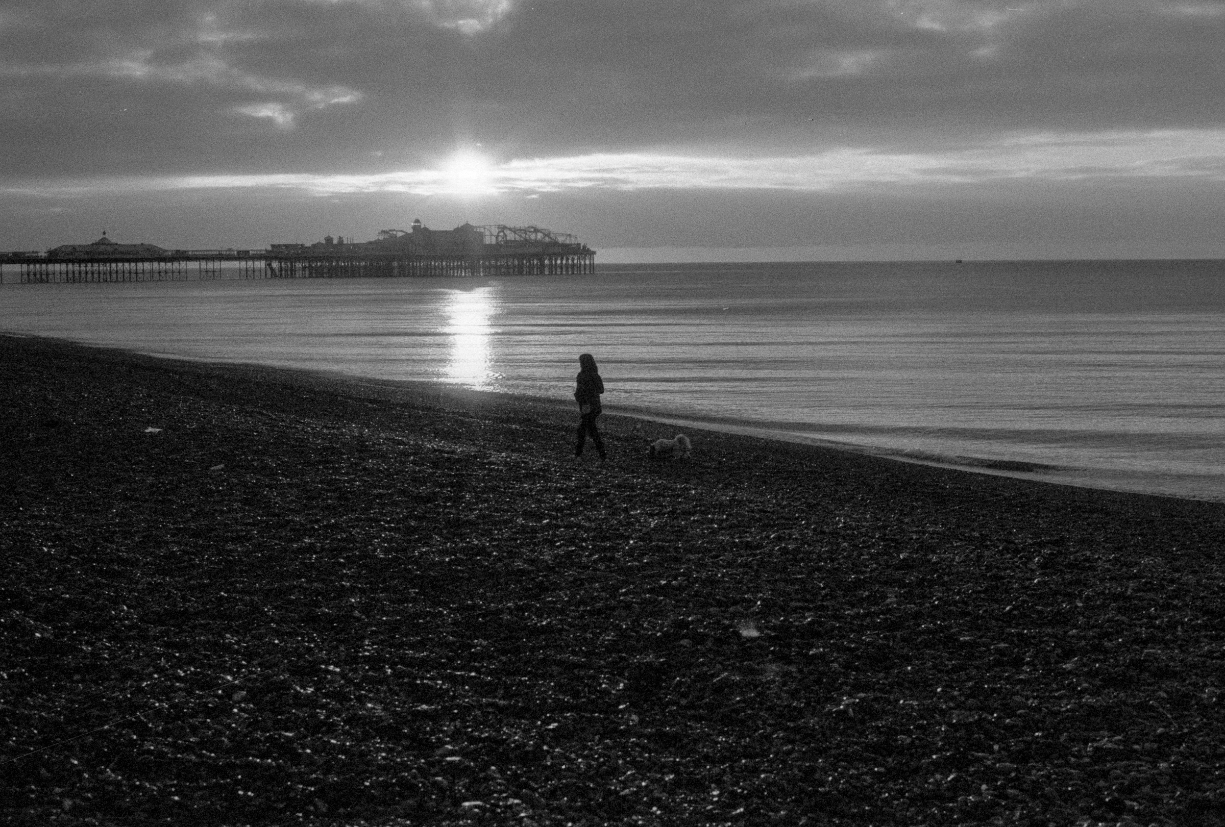 Solitude and murmurations