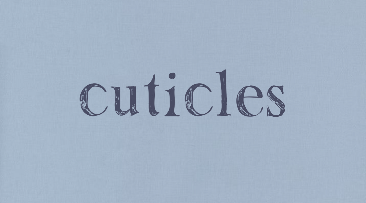Substack banner for @cuticles
