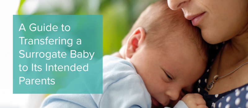 It’s Time to Repeal Wyoming’s Surrogacy Law