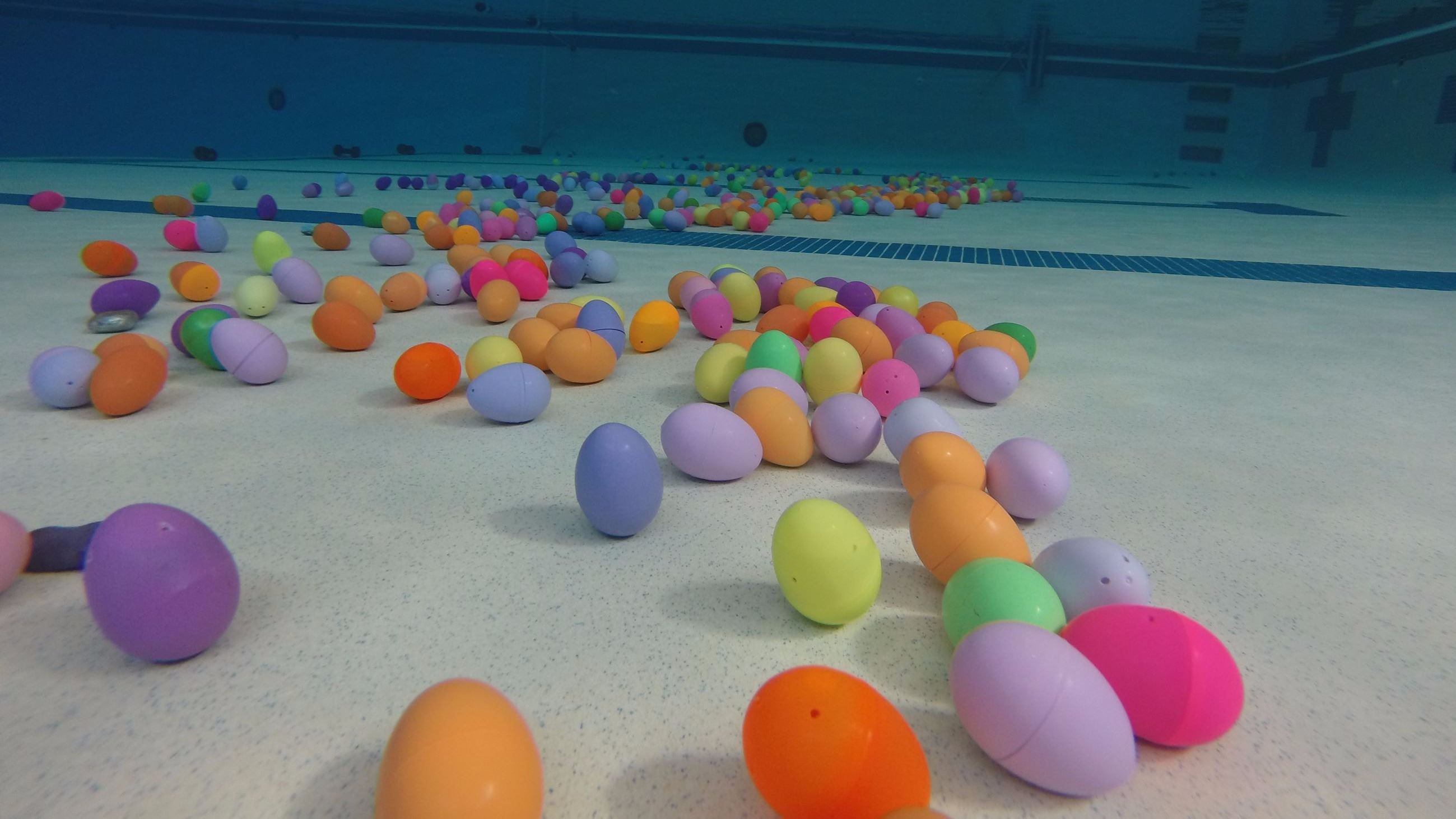 Image for article: Egg-cellent Underwater Easter Adventure!