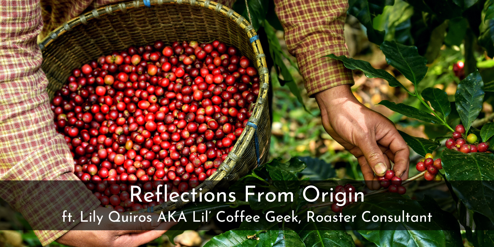 Reflections From A First Origin Trip