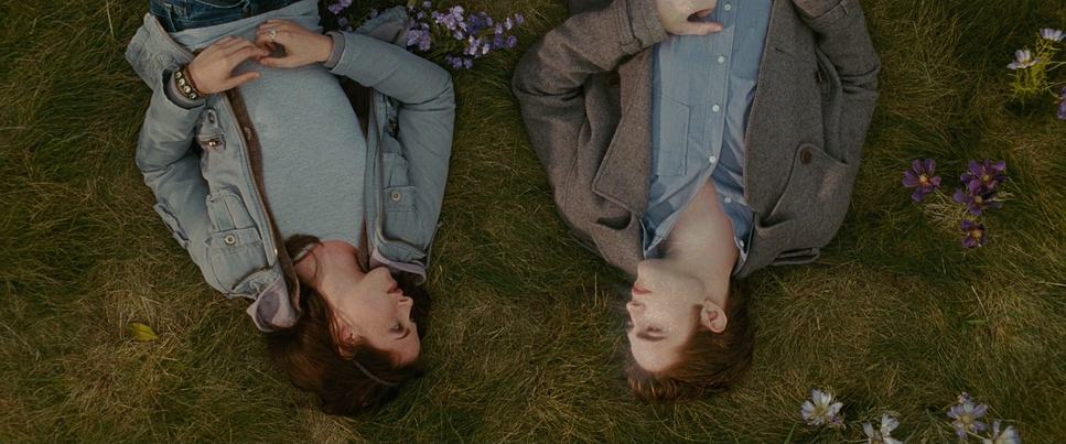 Twilight Saga New Moon By Erin Mitchell