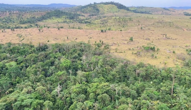 MPRO recomenda embargo na Reserva Extrativista Jaci-Paraná