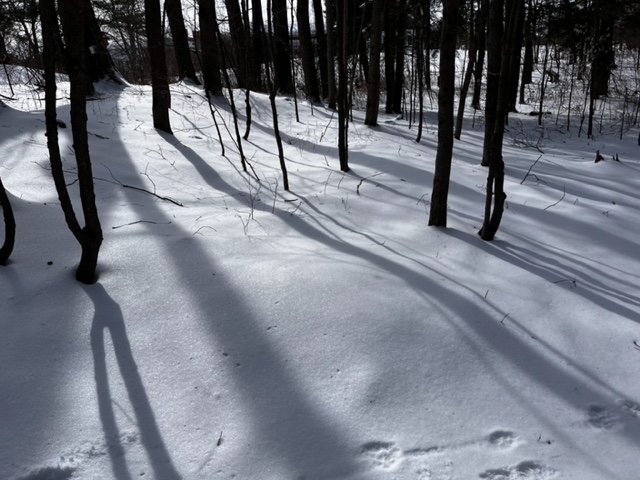 A Thread Conversation: Lara Bolger