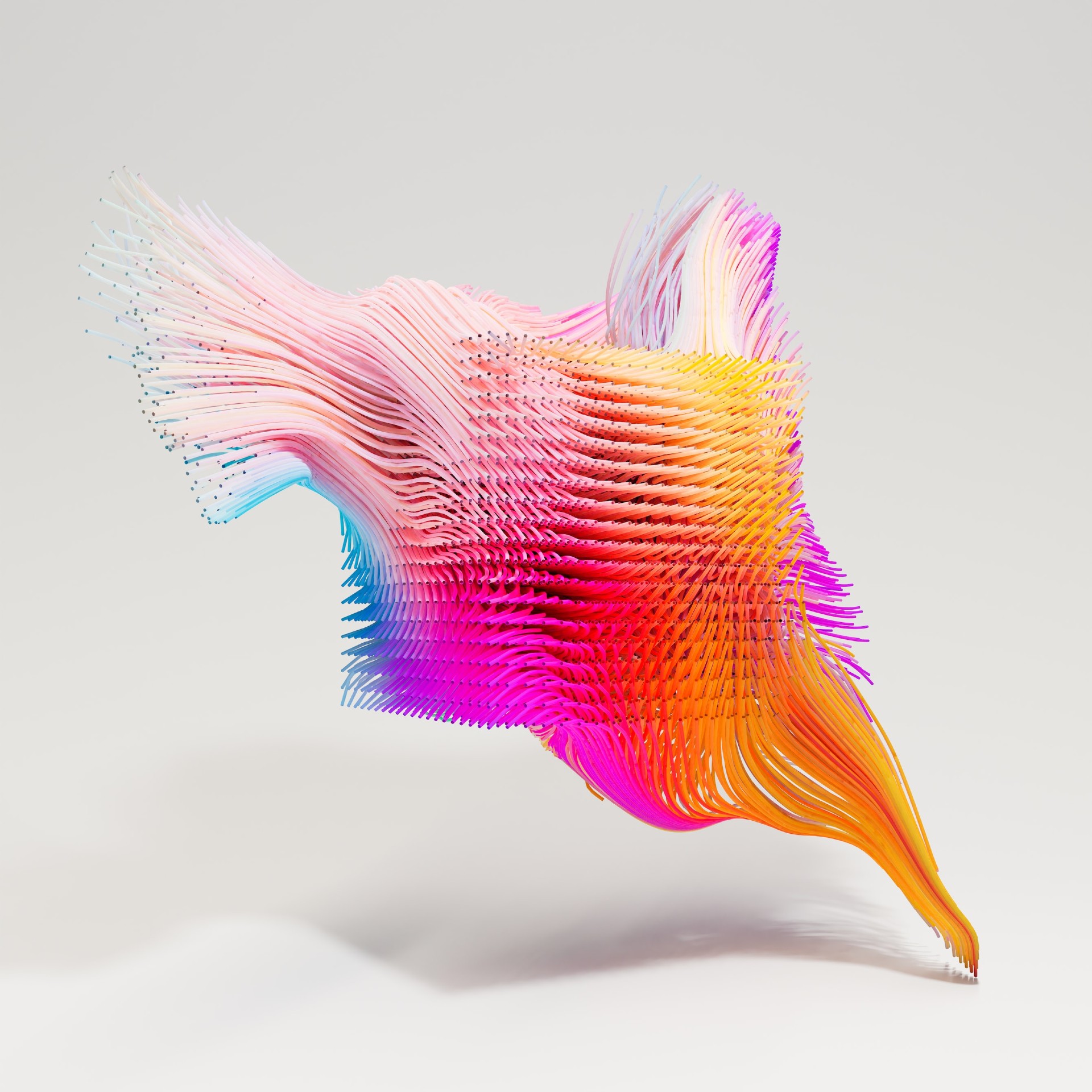 Nowym trendem w technologiach staje się... wolność 🕊️