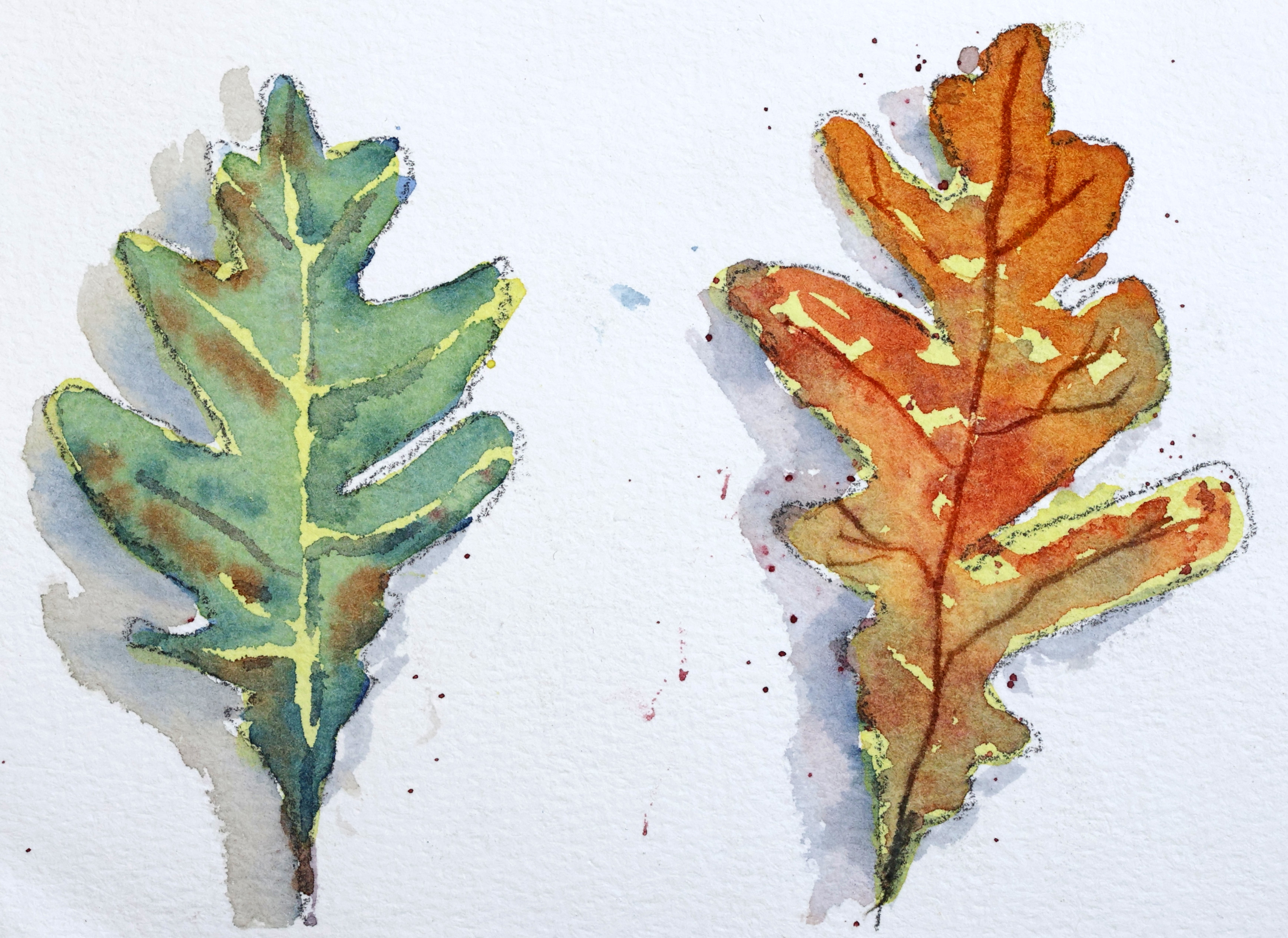 Autumn Leaves