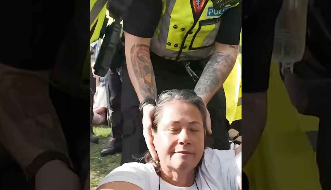 I Am the Daughter of a Holocaust Survivor. The UK Arrested Me for Protesting the Genocide in Gaza