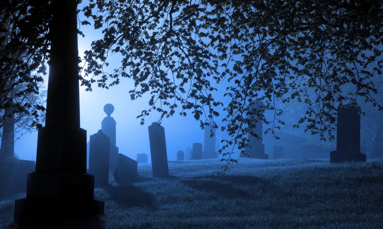 Mourning Space Poems for Holding Space #43 - A Tender Space