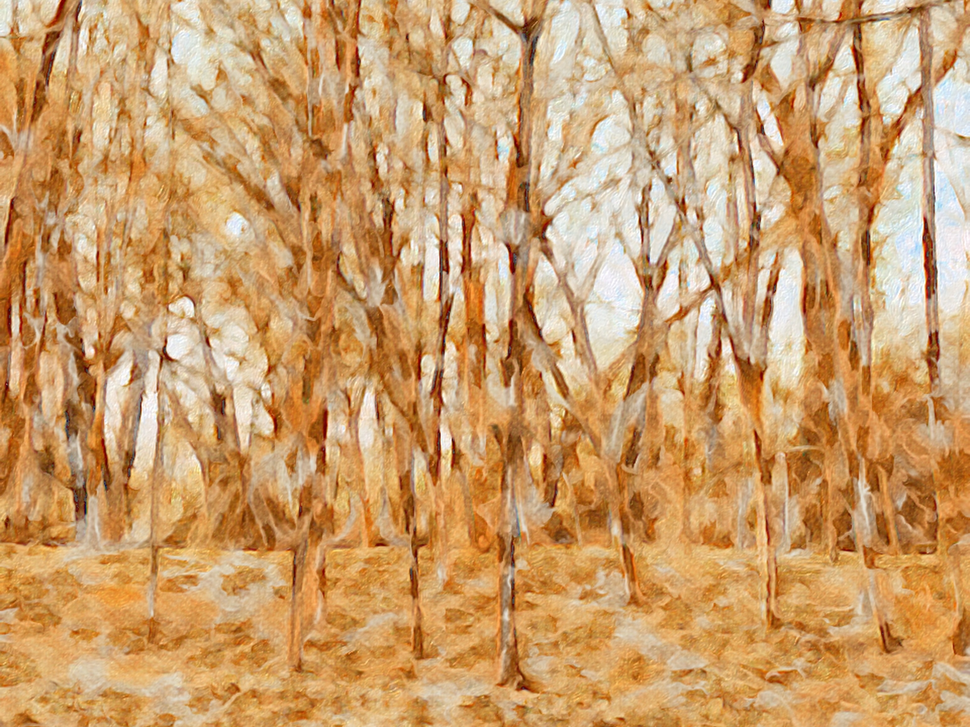 from routine to ritual