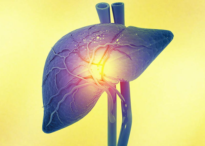 Vitamin K Helps Lower Mortality Risk in People with Fatty Liver Disease