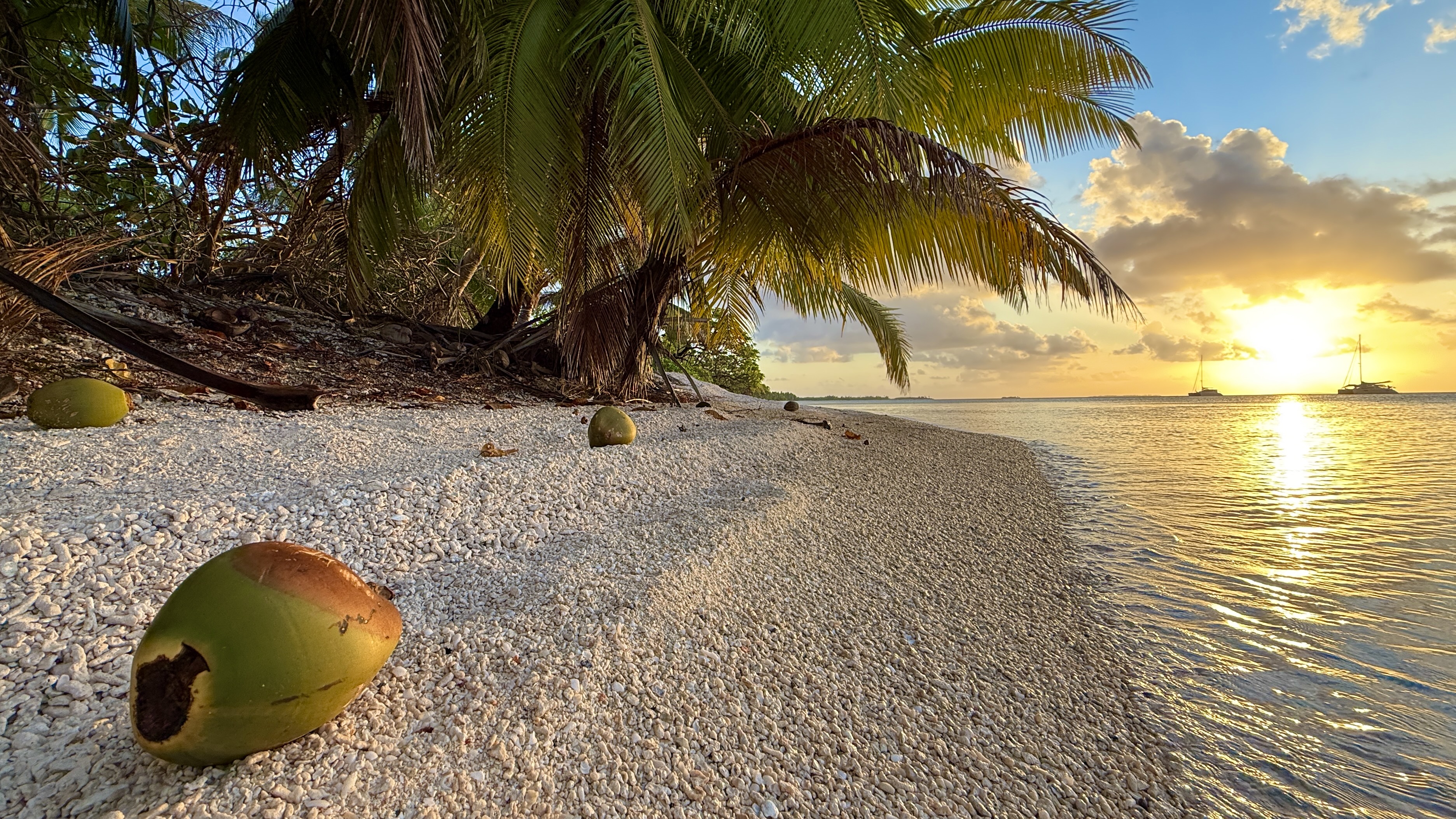 Summer in the Tuamotus