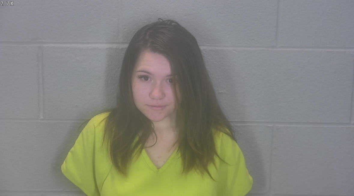 Abigail L Wendling