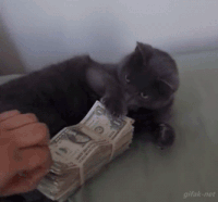 Money counter GIFs - Obtenez le meilleur gif sur GIFER