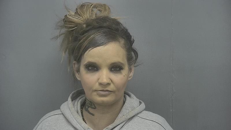 Michelle L Criss