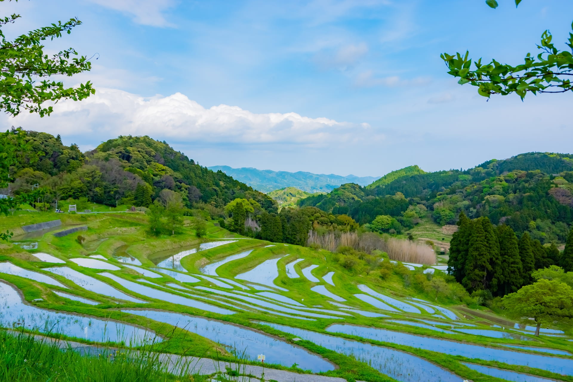The Satoyama Philosophy Japan s Living Model Of A Circular Landscape the-satoyama-philosophy-japan-s-living-model-of-a-circular-landscape