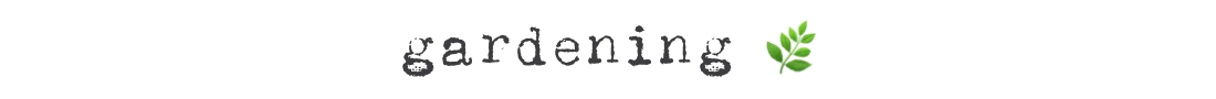 SS-Header-Gardening.png