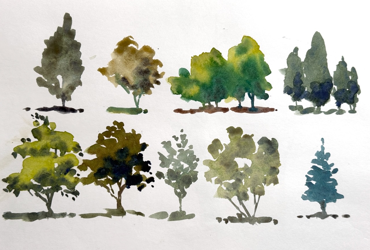 Branching Out